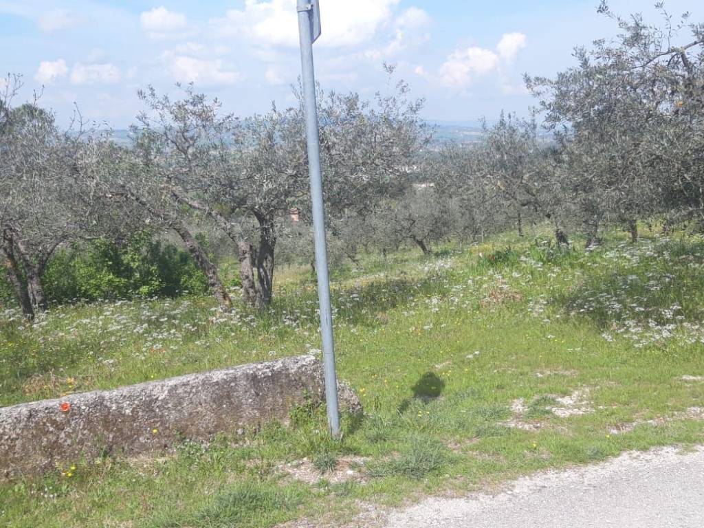 Terreno a Trevi in Loc.Pigge - Foto 4