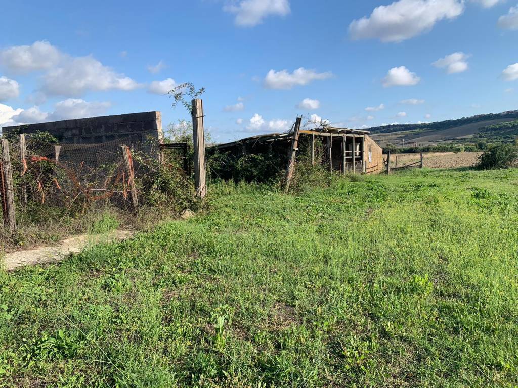 Terreno a Tarquinia in Strada Provinciale Tarquiniense - Foto 4