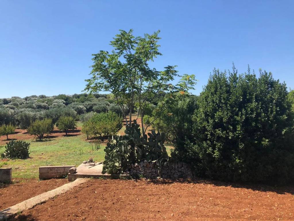 Rustico / casale a Ostuni in Contrada Badessa - Foto 4