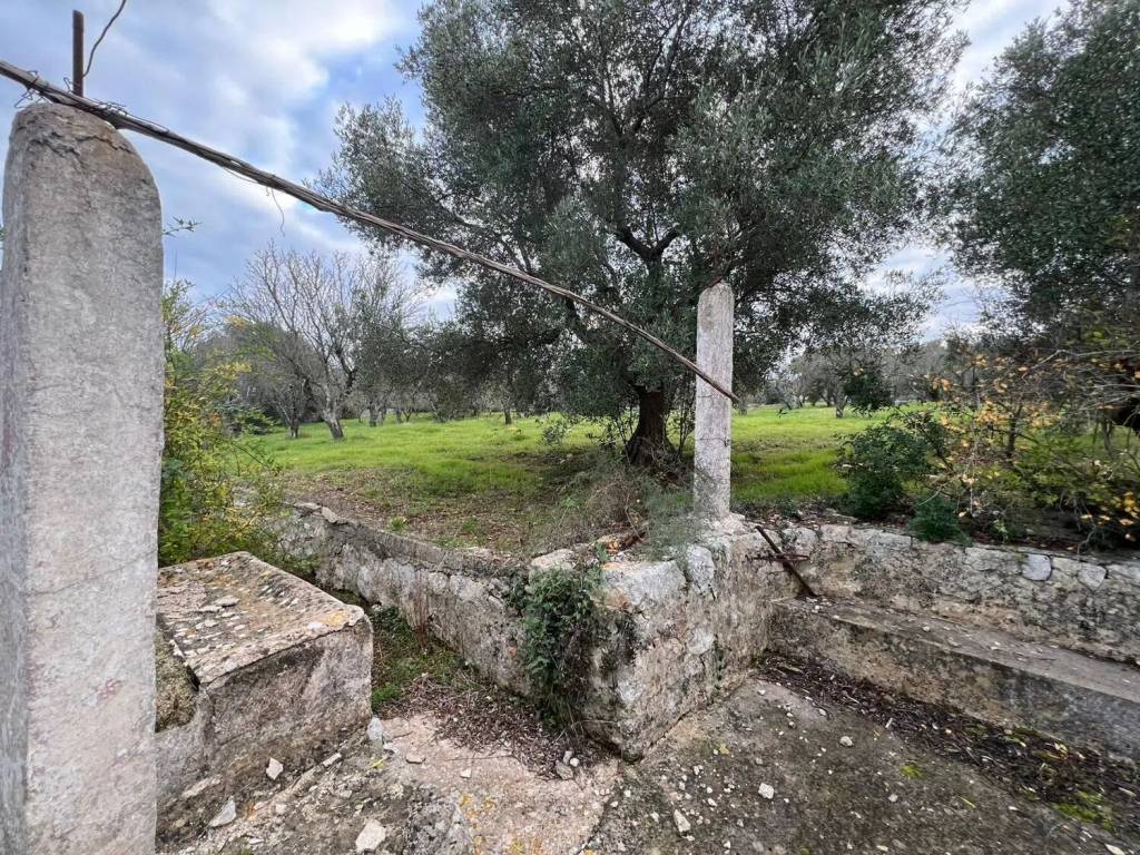 Rustico / casale a Ostuni in Contrada Piatone S.N.C. - Foto 3