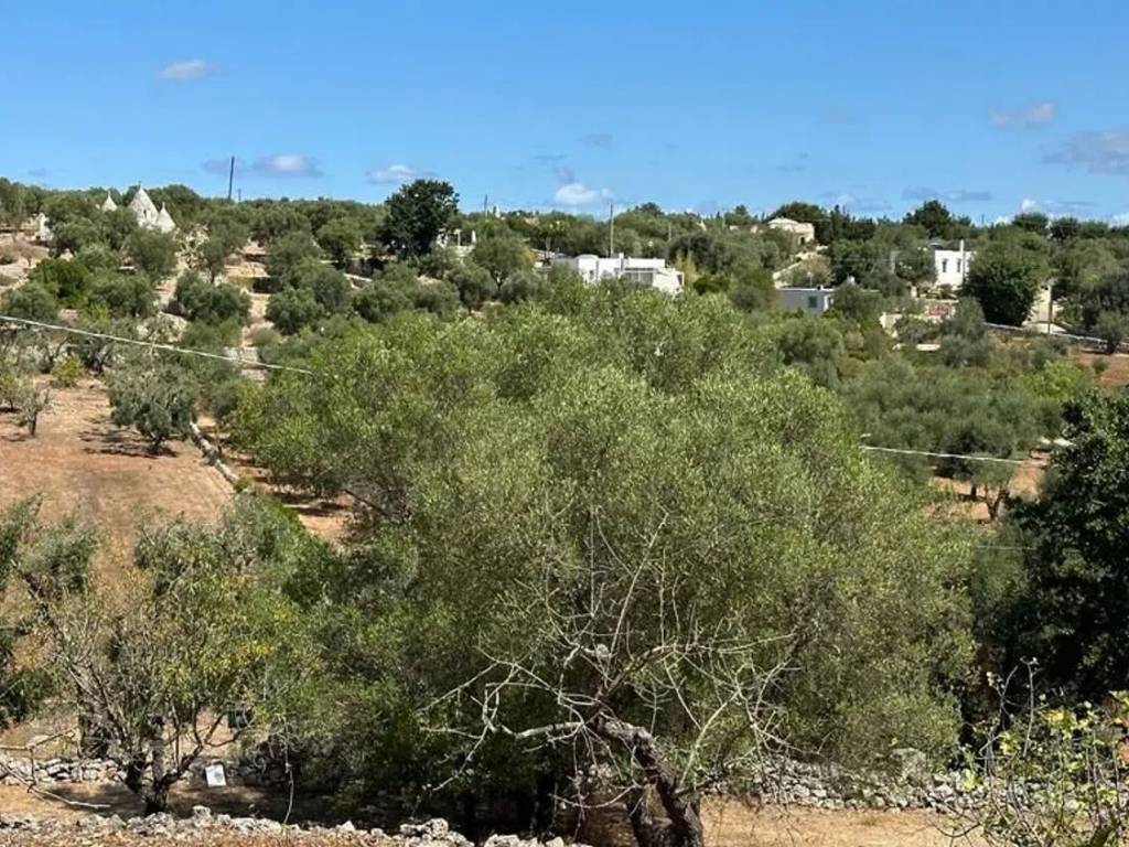 Rustico / casale a Ostuni in Contrada Foragno - Foto 3