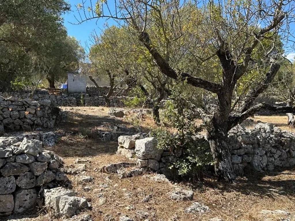 Rustico / casale a Ostuni in Contrada Foragno - Foto 4