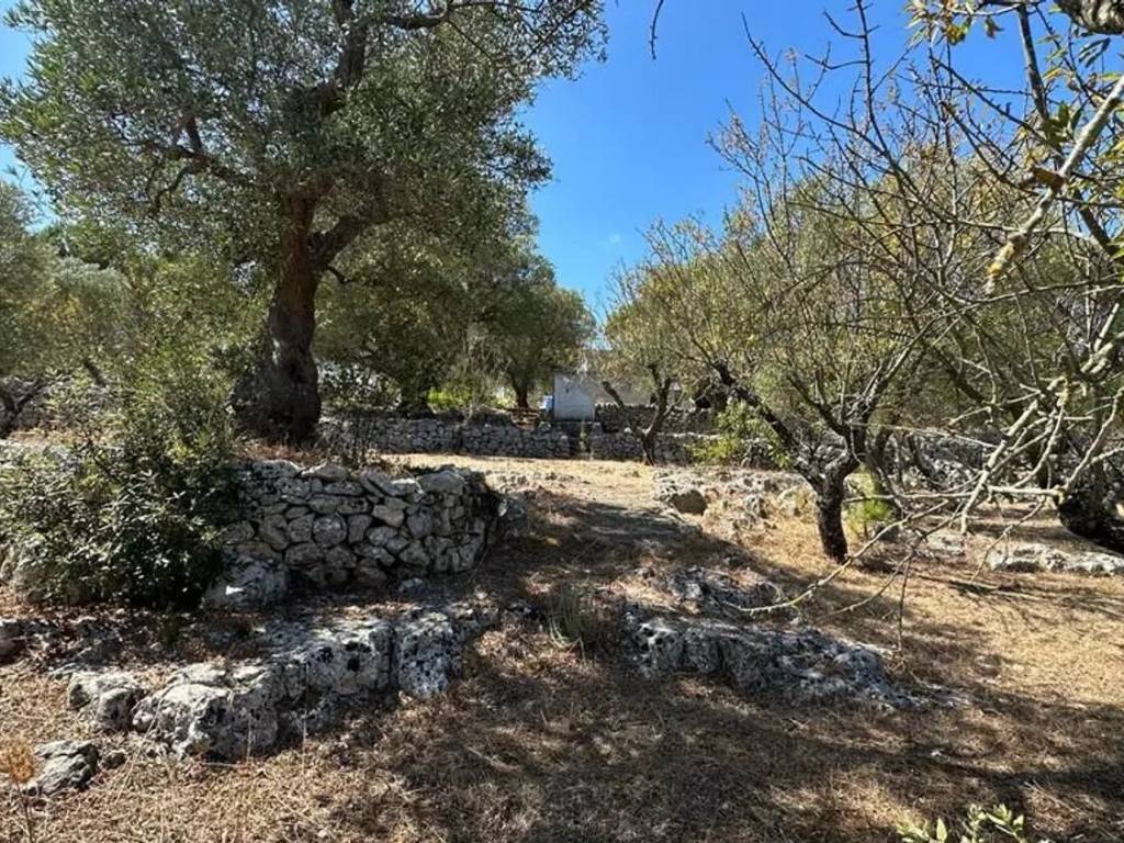 Rustico / casale a Ostuni in Contrada Peraro - Foto 5