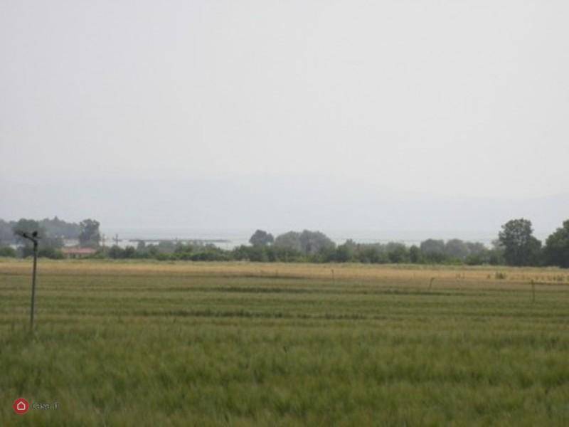 Terreno a Castiglione del lago - Foto 3