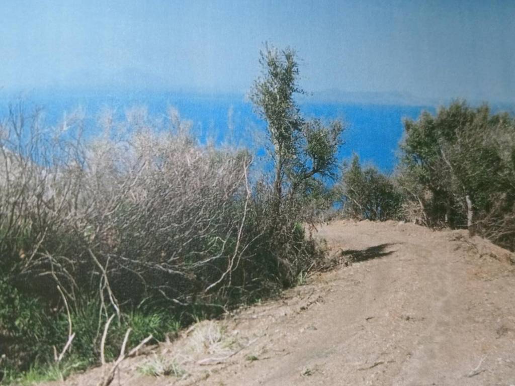 Terreno a Gioiosa marea in Case Pileci - Foto 2