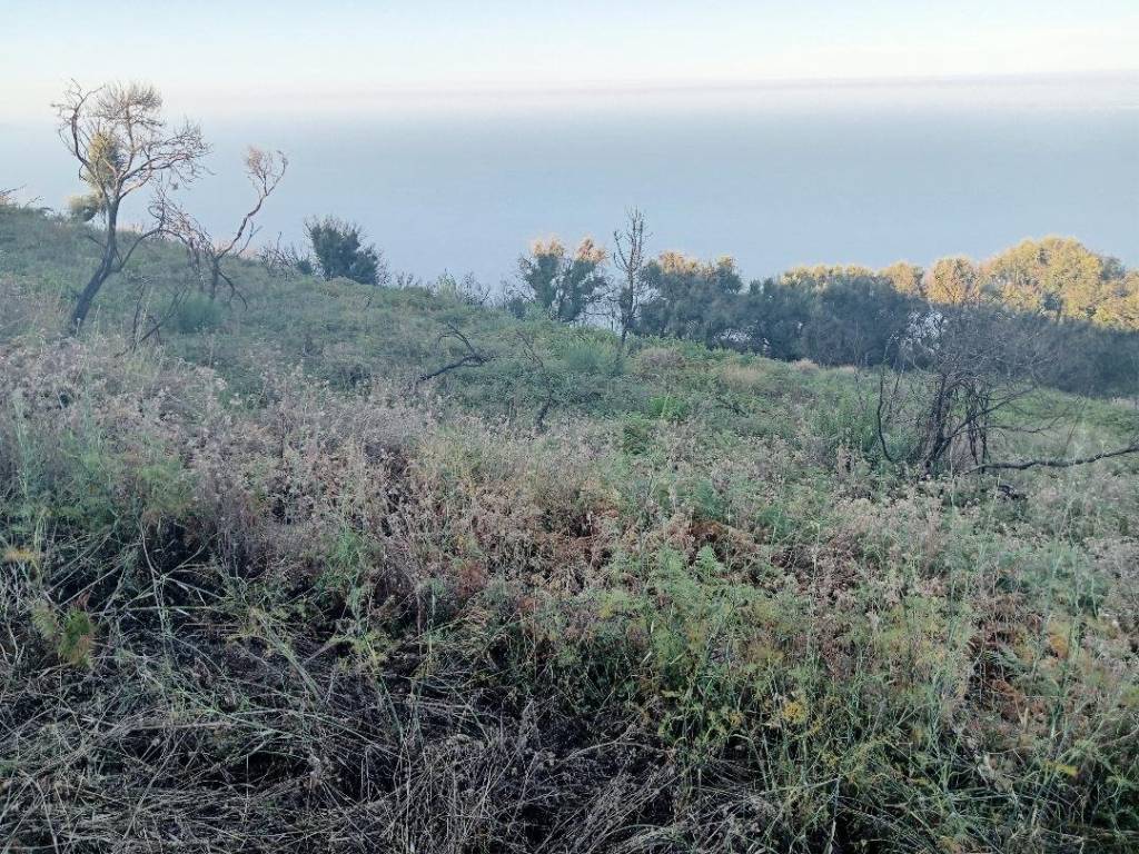 Terreno a Gioiosa marea in Case Pileci - Foto 4