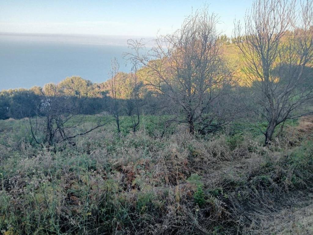 Terreno a Gioiosa marea in Case Pileci - Foto 5