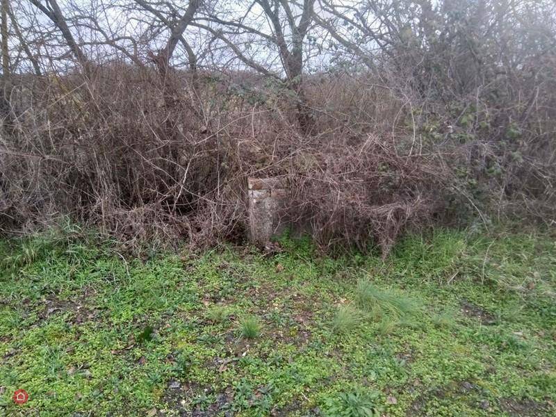 Terreno a Castiglione del lago in Via Trasimeno 2 - Foto 2