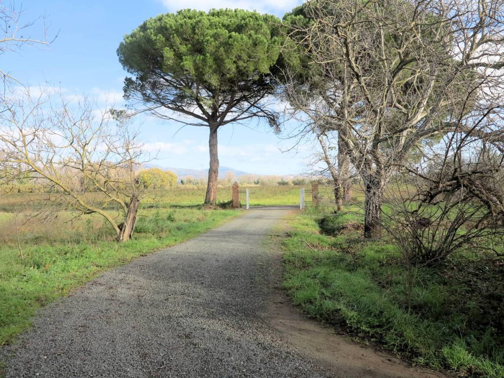 Rustico / casale a Roccastrada - Foto 2