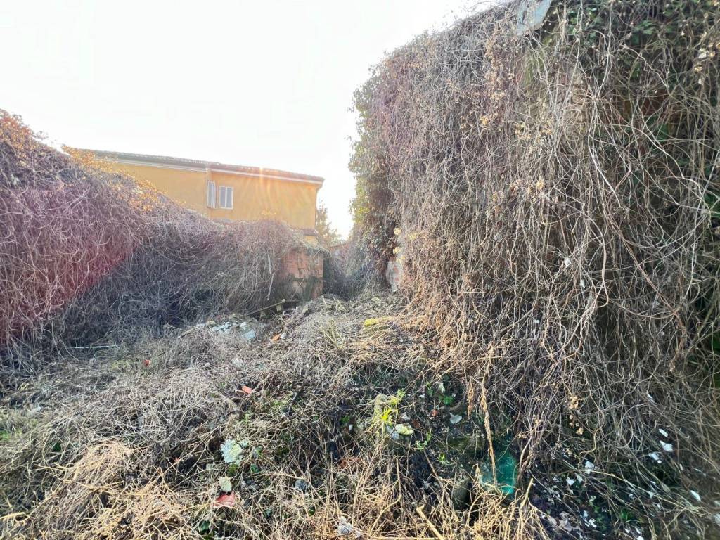 Rustico / casale a Rovigo in Viale Porta Po - Foto 4