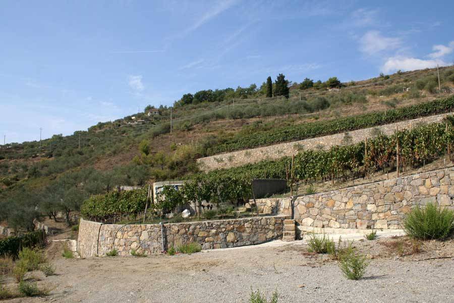 Terreno a Perinaldo in Via Miramonti, 3 - Foto 2