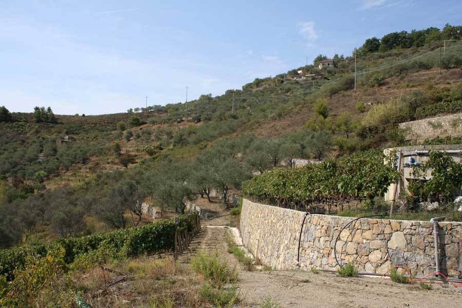 Terreno a Perinaldo in Via Miramonti, 3 - Foto 3