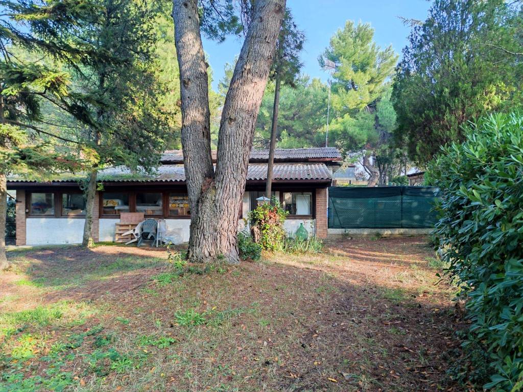 Casa indipendente a Ancona in Frazione Massignano - Foto 5