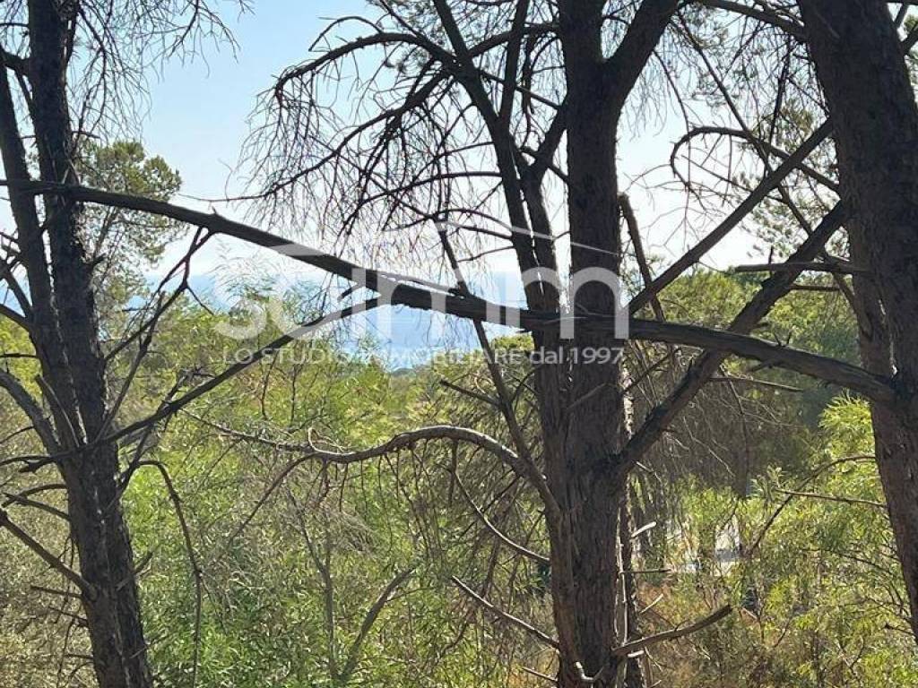 Villa a Domus de maria in Località Eden Rock - Foto 3