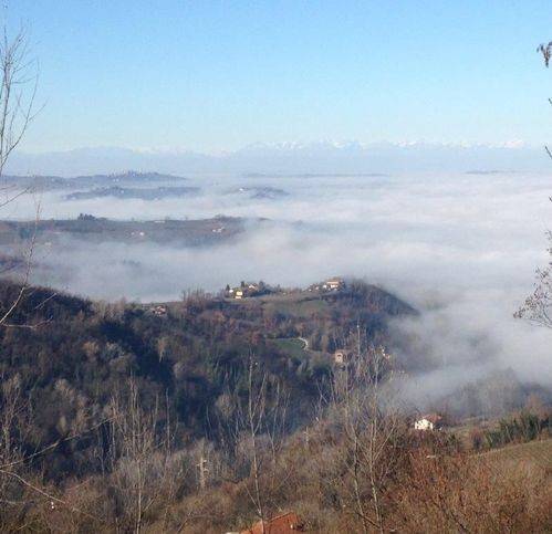 Rustico / casale a Rocchetta palafea - Foto 4