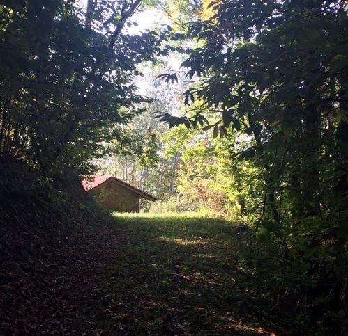 Rustico / casale a Rocchetta palafea - Foto 5