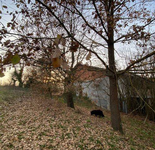 Villa a Nizza monferrato in Strada Piazzaro - Foto 2