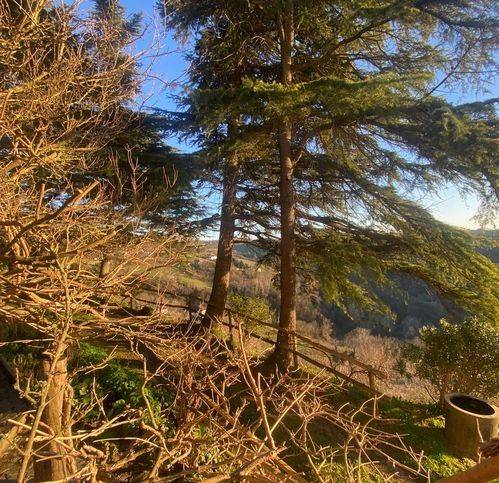 Villa a Rocchetta palafea in Corso Duca D'Aosta 16 - Foto 4