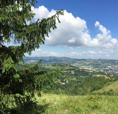 Rustico / casale a Acqui terme in Frazione Montemarino - Foto 5