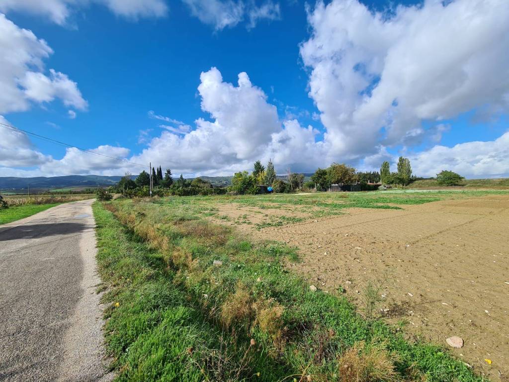 Terreno a Cannara in Vocabolo Selvetta - Foto 3