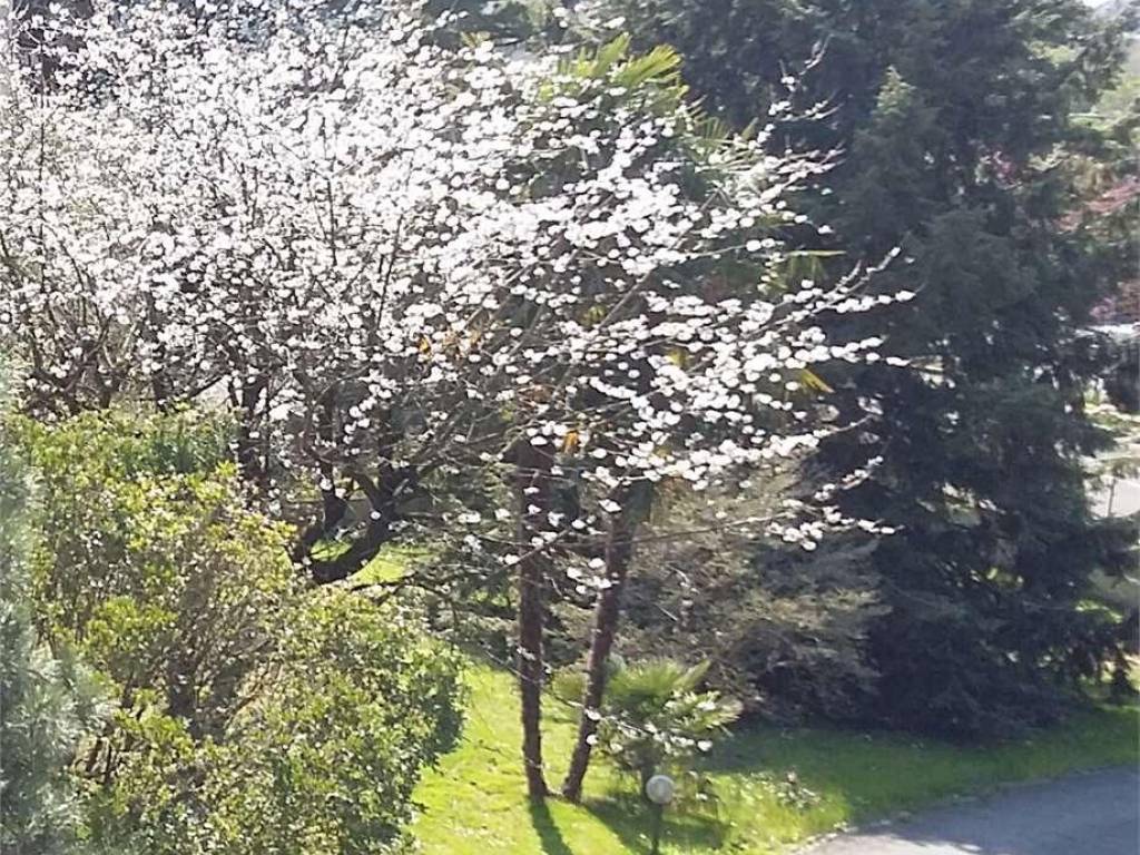 Villa a Cantù - Foto 5