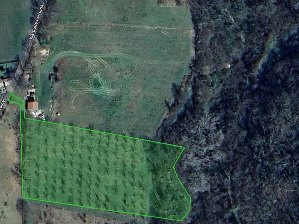 Terreno a Alvito in Via Colle Ferrugola - Foto 2