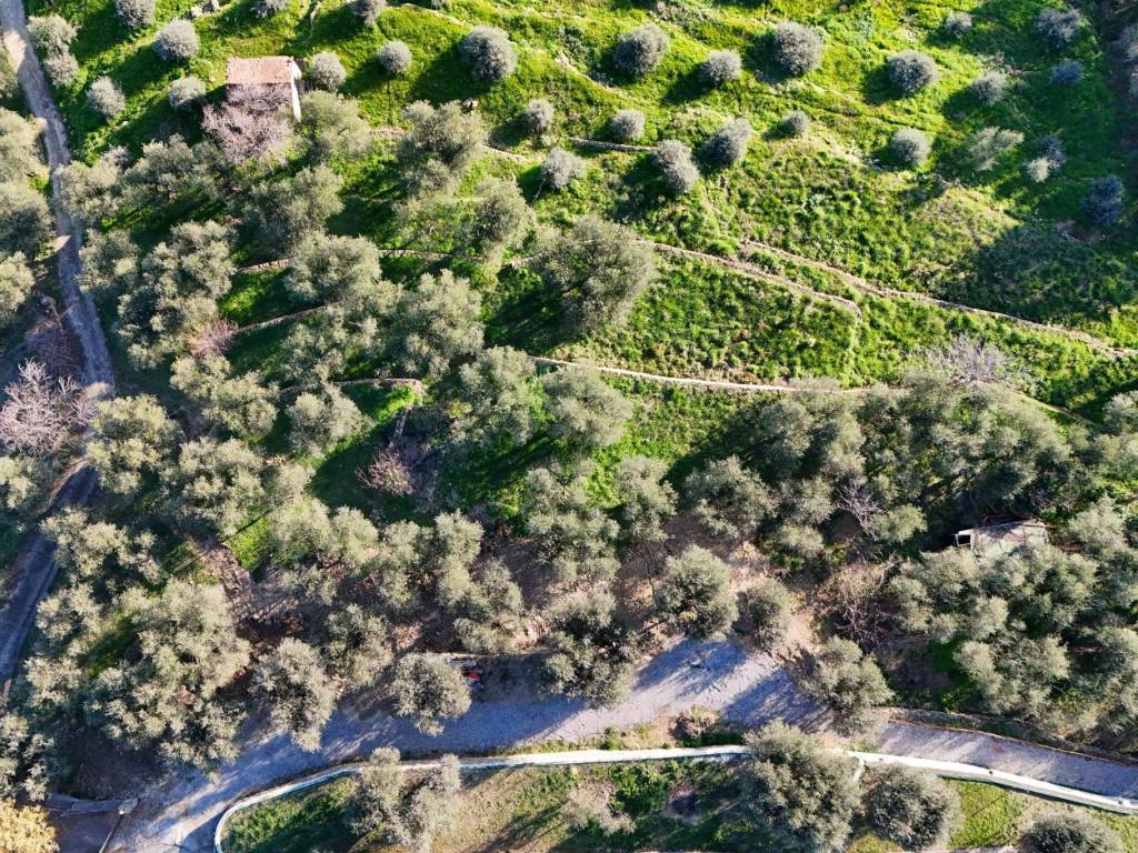 Terreno a Diano marina in Viadotto Gorleri - Foto 4