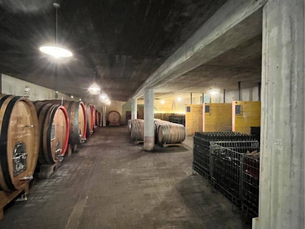 Terreno a Gattinara - Foto 5