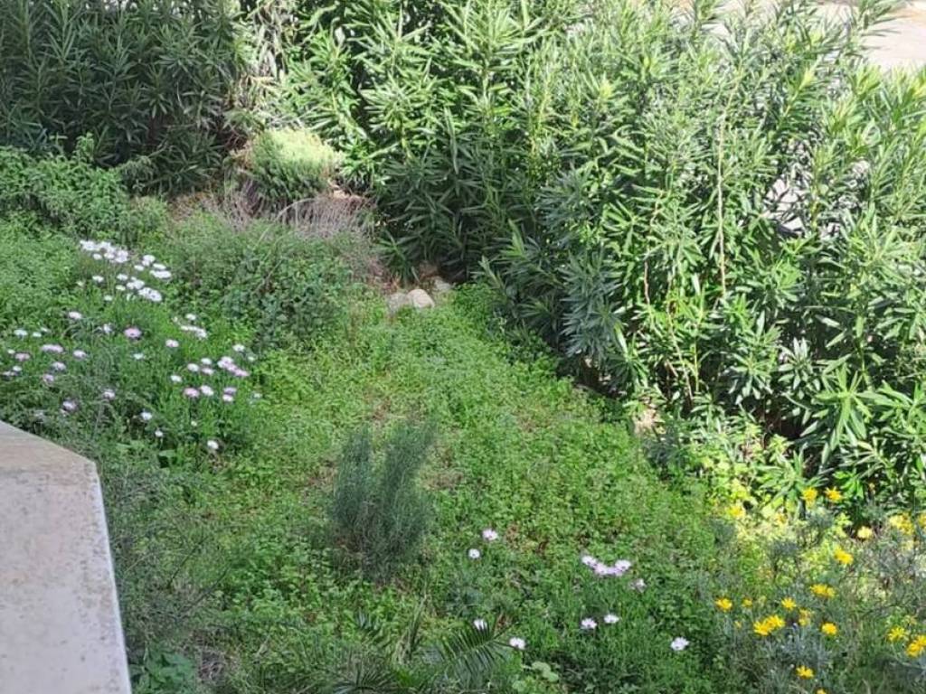 Appartamento a Rosignano marittimo in Via Valle D'Aosta, 89 - Foto 2