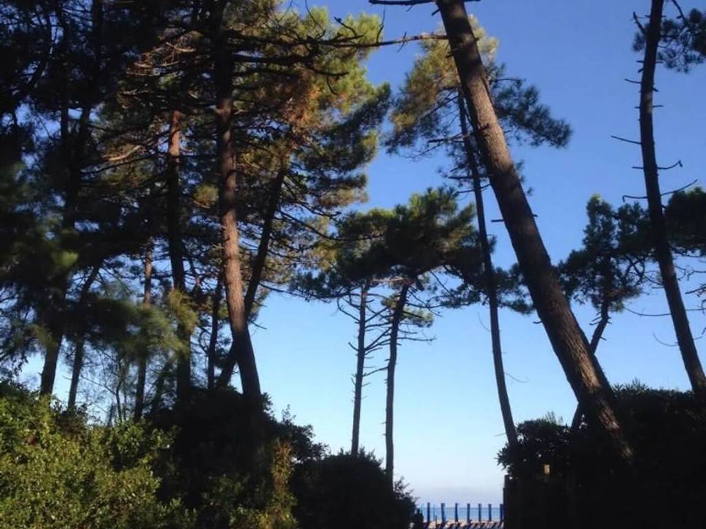 Appartamento a Cecina in Della Palazzeta, 42 - Foto 3