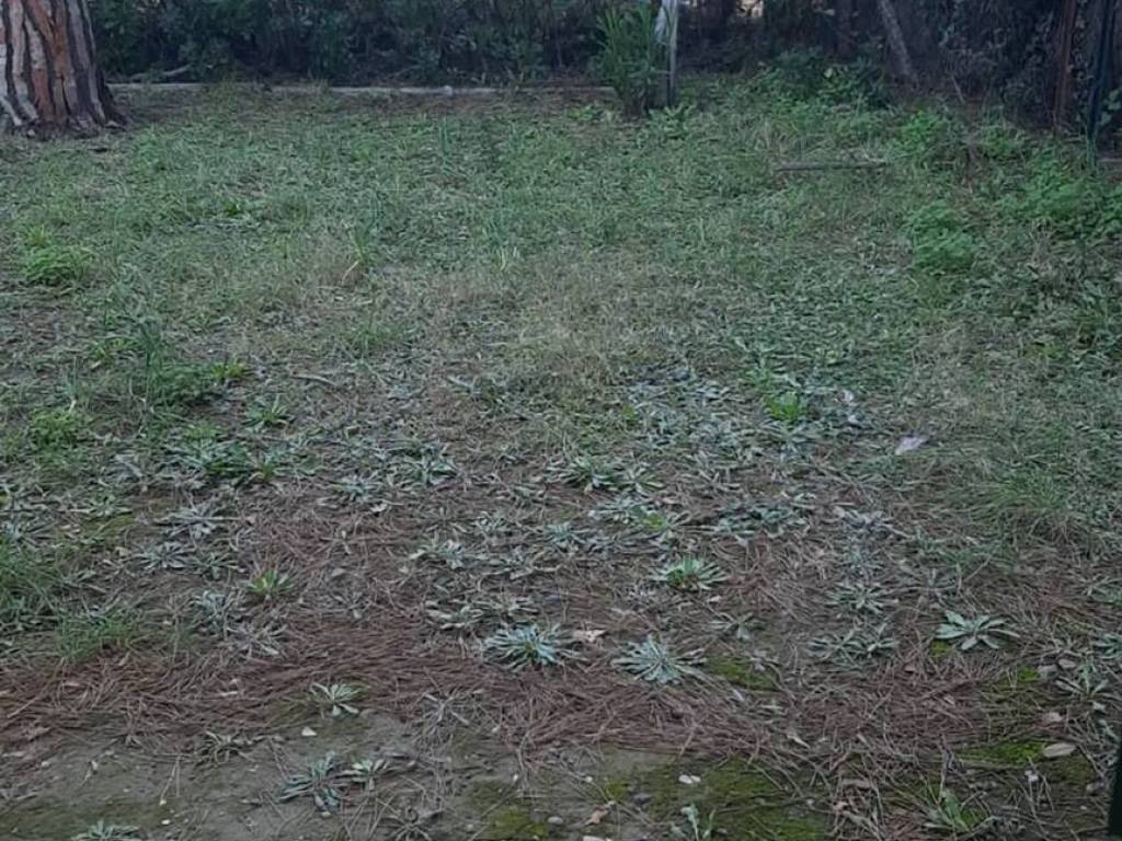Appartamento a Rosignano marittimo in Calabria, 1 - Foto 2