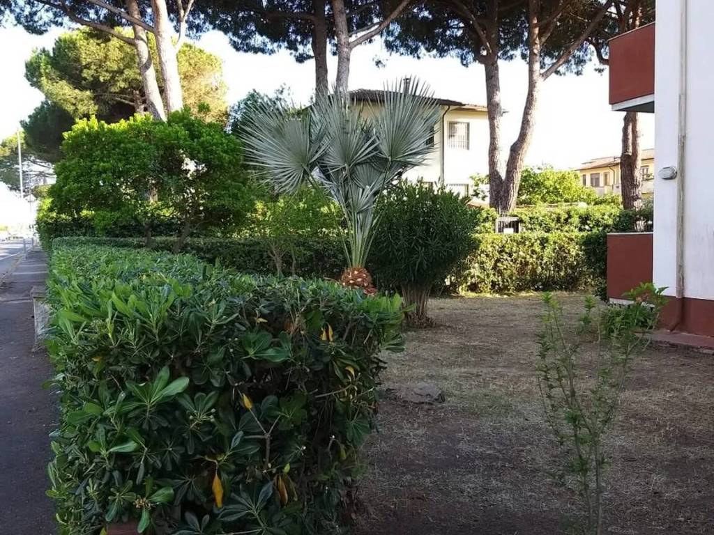 Appartamento a Rosignano marittimo in Pozzuolo No Number - Foto 2
