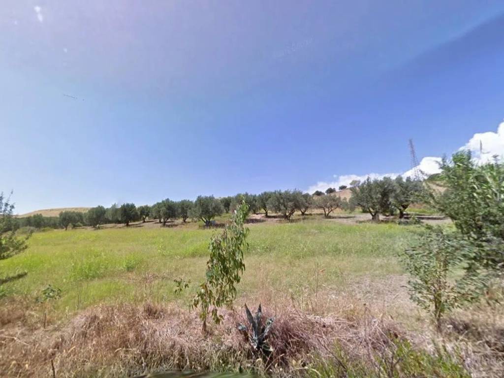 Terreno a Simeri crichi in Contrada Gelsitello - Foto 2