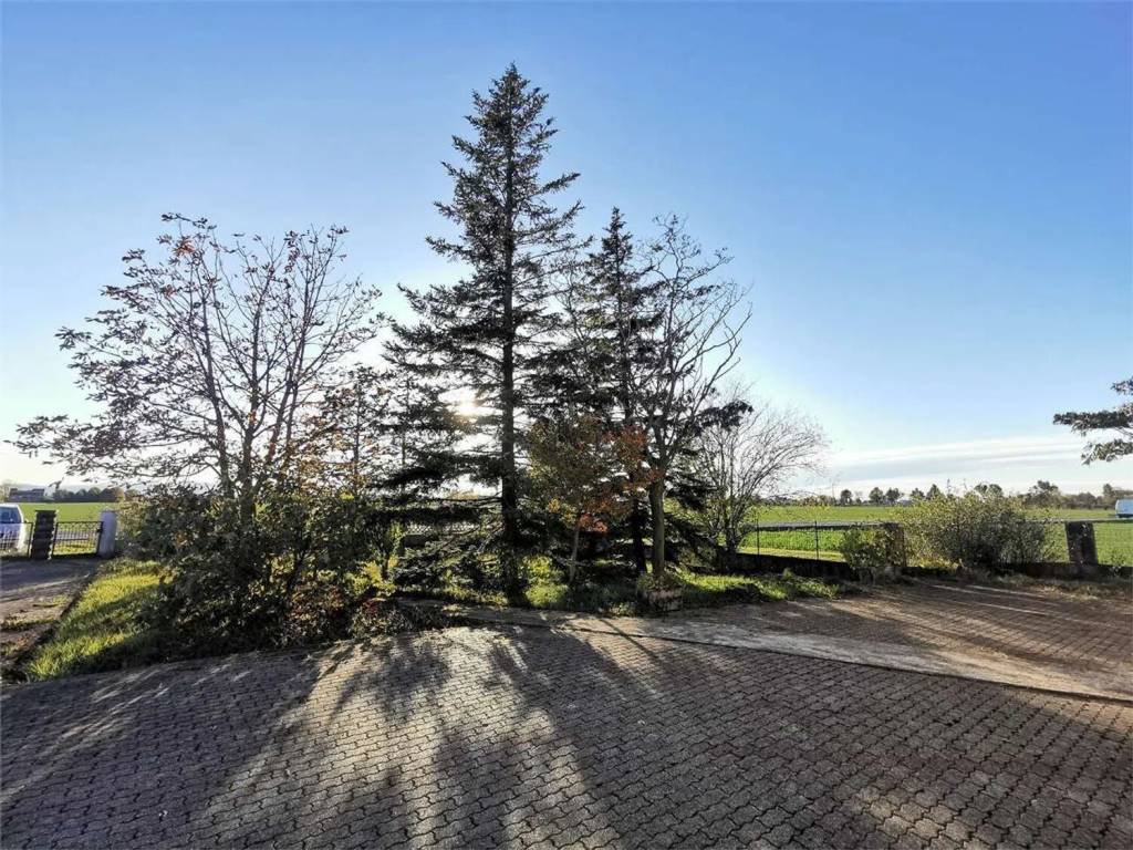 Villa a Busseto - Foto 3