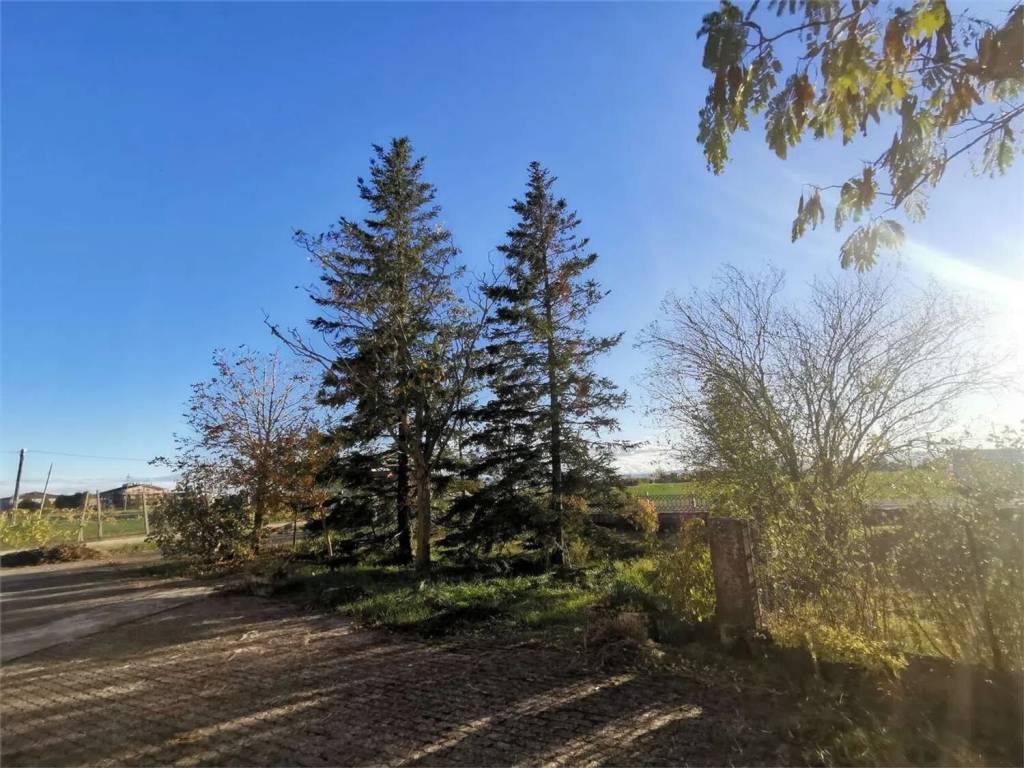 Villa a Busseto - Foto 5