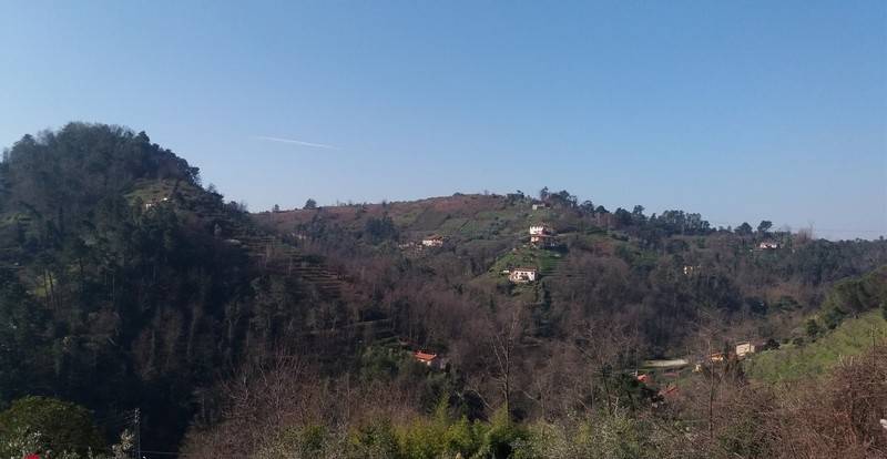 Villa a Pietrasanta - Foto 4