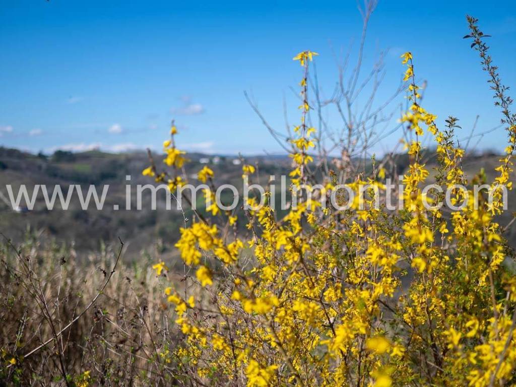 Rustico / casale a Bistagno - Foto 4
