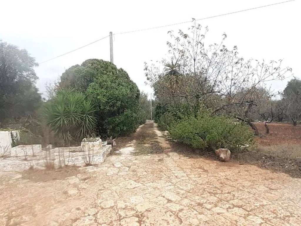 Villa a Ostuni in Contrada Pascarosa - Foto 5
