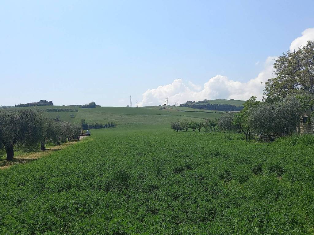 Terreno a Fermo in Strada Provinciale Paludi - Foto 3