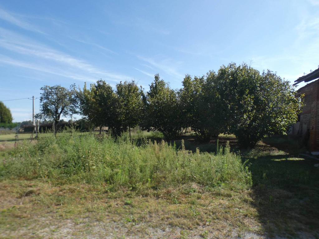 Rustico / casale a Mondovì - Foto 2