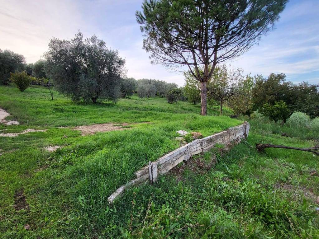 Rustico / casale a Cori in ZONA PAIOLANA - Foto 2