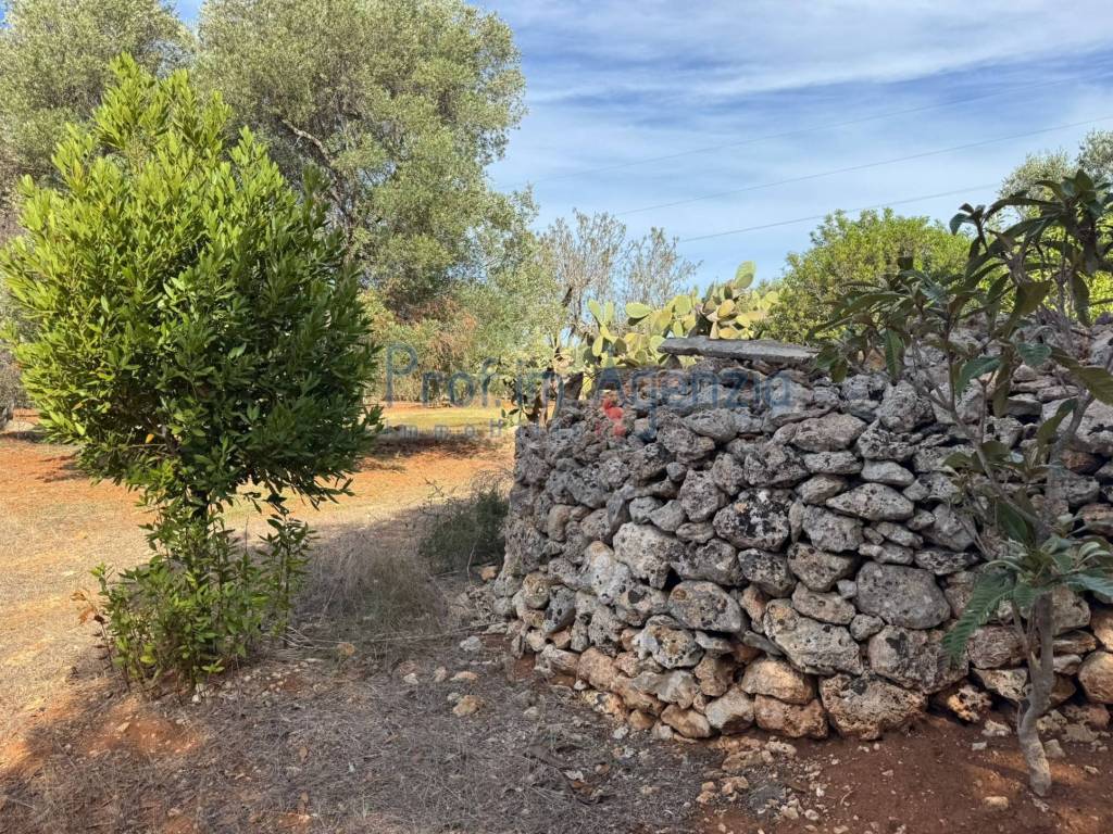 Terreno a Carovigno - Foto 2