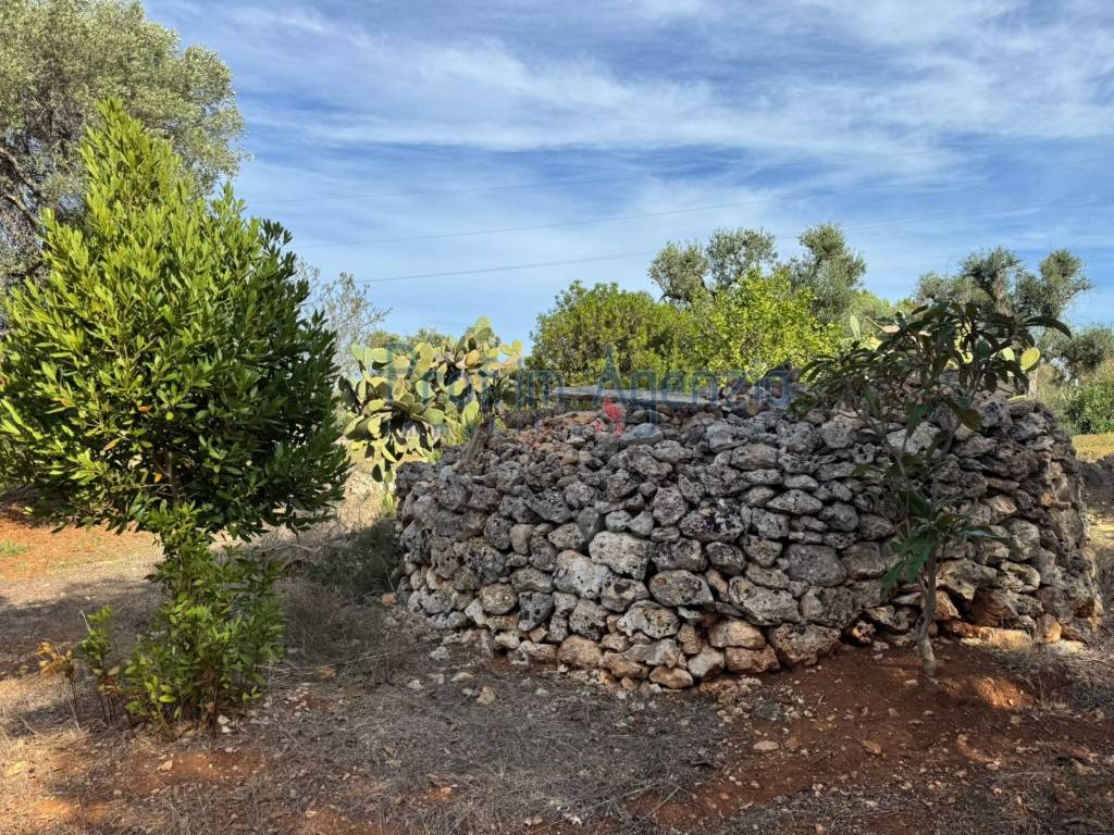 Terreno a Carovigno - Foto 4