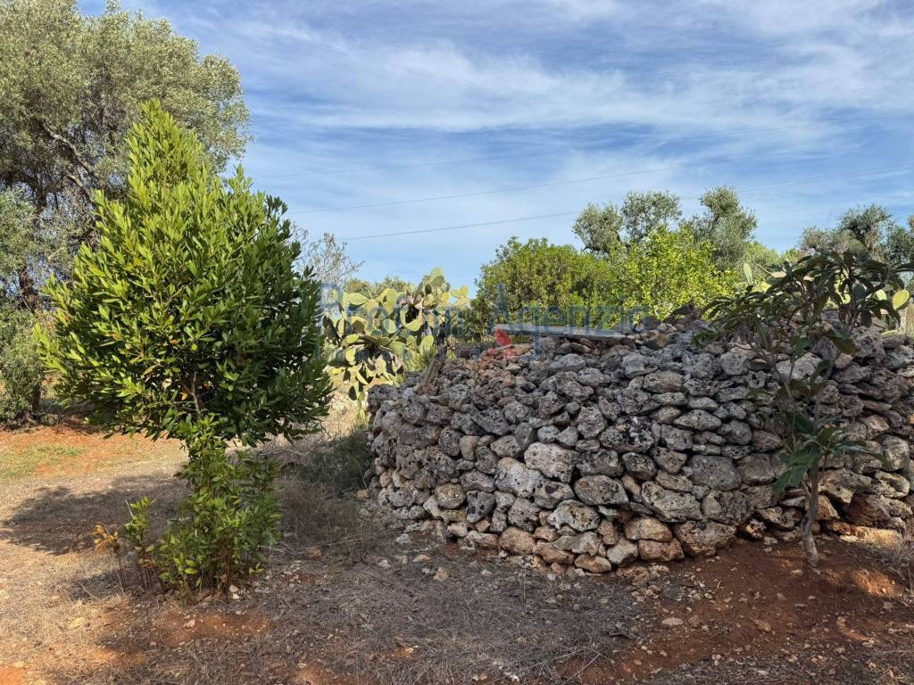 Terreno a Carovigno - Foto 5