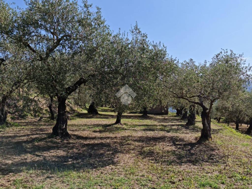 Terreno a Sant'agata de' goti in cda Sopportico - Foto 2