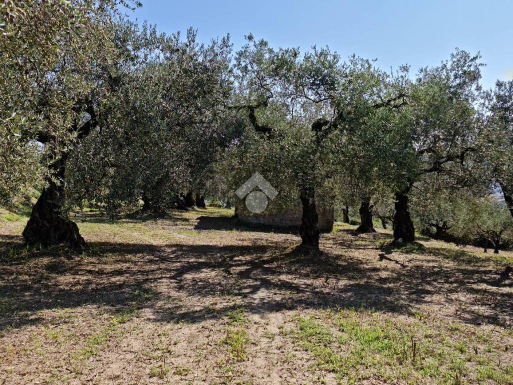 Terreno a Sant'agata de' goti in cda Sopportico - Foto 3