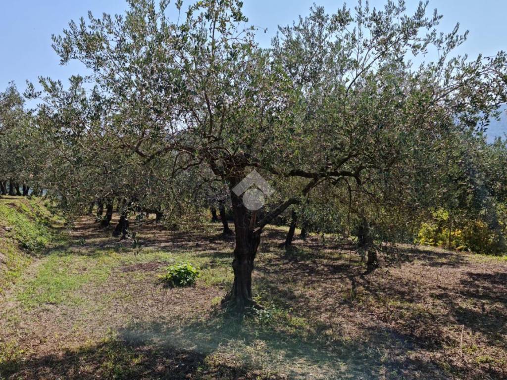 Terreno a Sant'agata de' goti in cda Sopportico - Foto 4