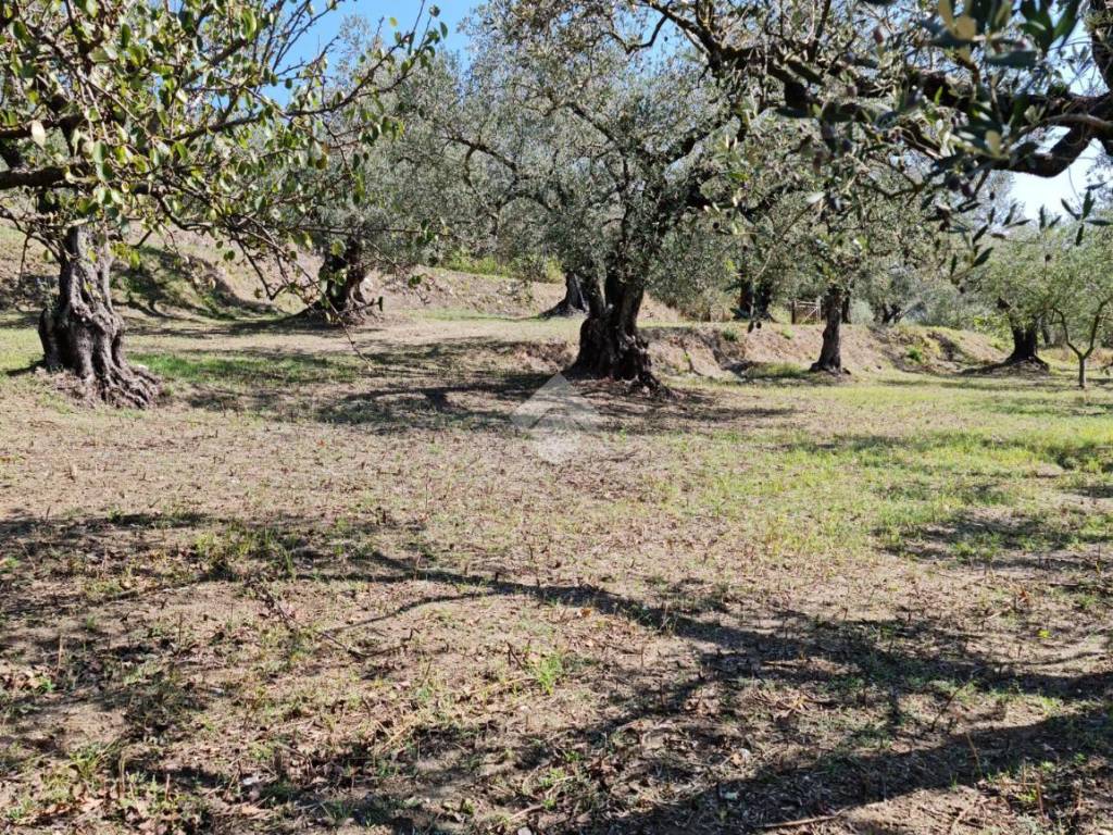 Terreno a Sant'agata de' goti in cda Sopportico - Foto 5