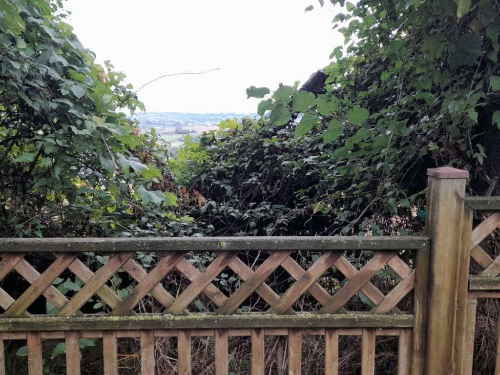 Terreno a Montecastrilli - Foto 2