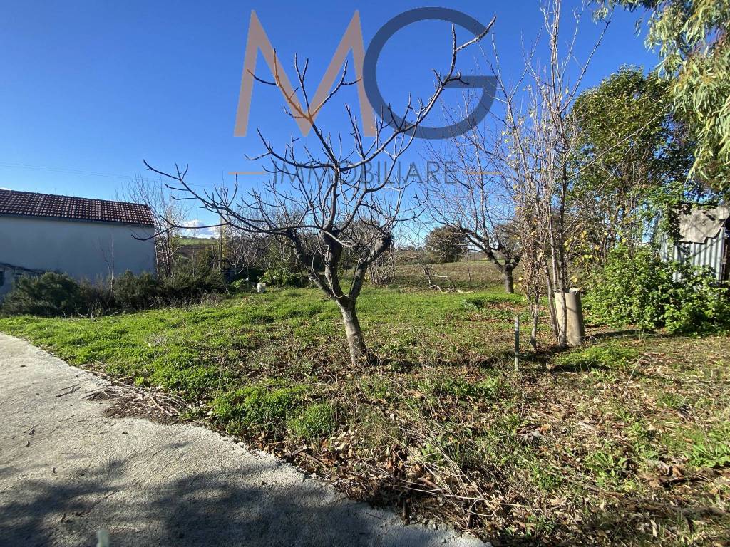 Rustico / casale a Guglionesi in Contrada Colle di Brecce - Foto 5